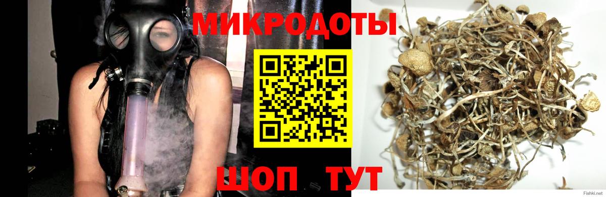 Клинцы  Псилоцибиновые грибы GOLDEN TEACHER  Вход с VPN 